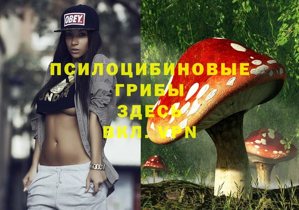 винт Аркадак