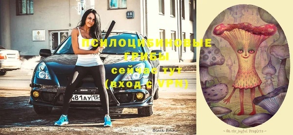a pvp Алексин