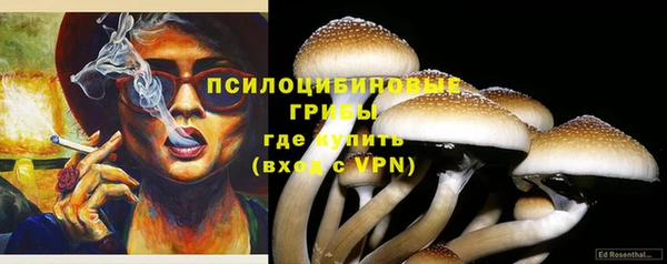 MESCALINE Арсеньев