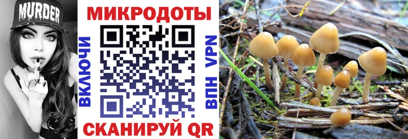 Купить где  Туринск  Галлюциногенные грибы Psilocybine cubensis 
